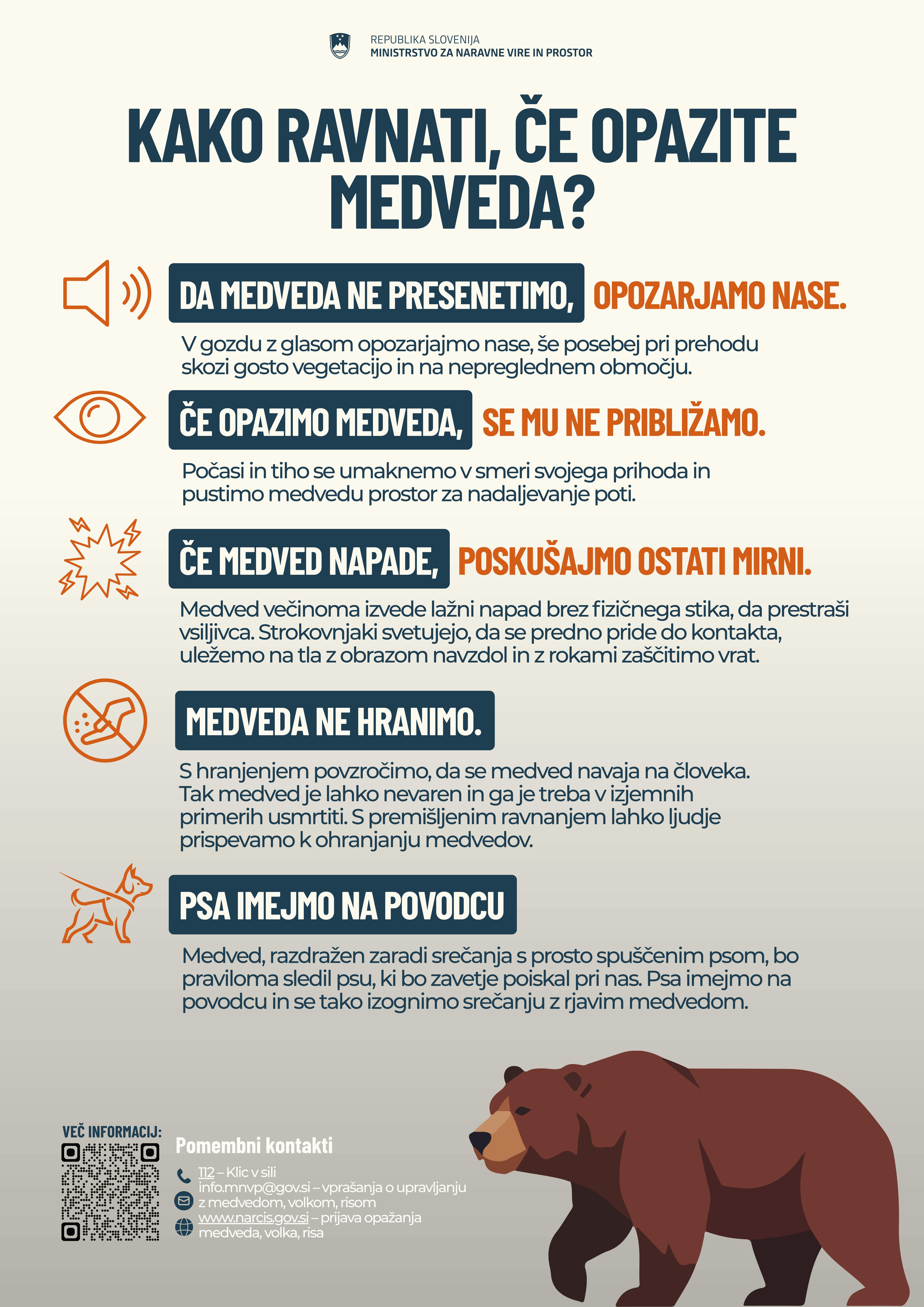 Medved plakat A31