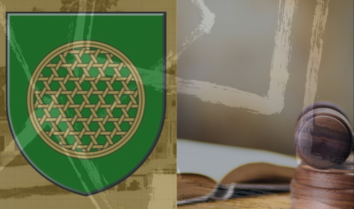 DELO ŽUPANSKEGA SVETA