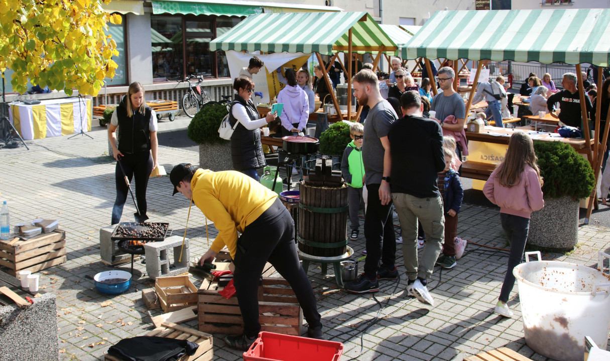 Zelena Sodražica 2025